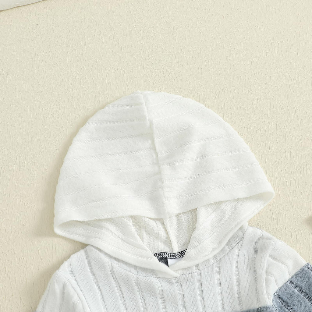 Toddler Baby Boy Outfit Long Sleeve Hoodie and Pants Fall Winter Clothes Blue