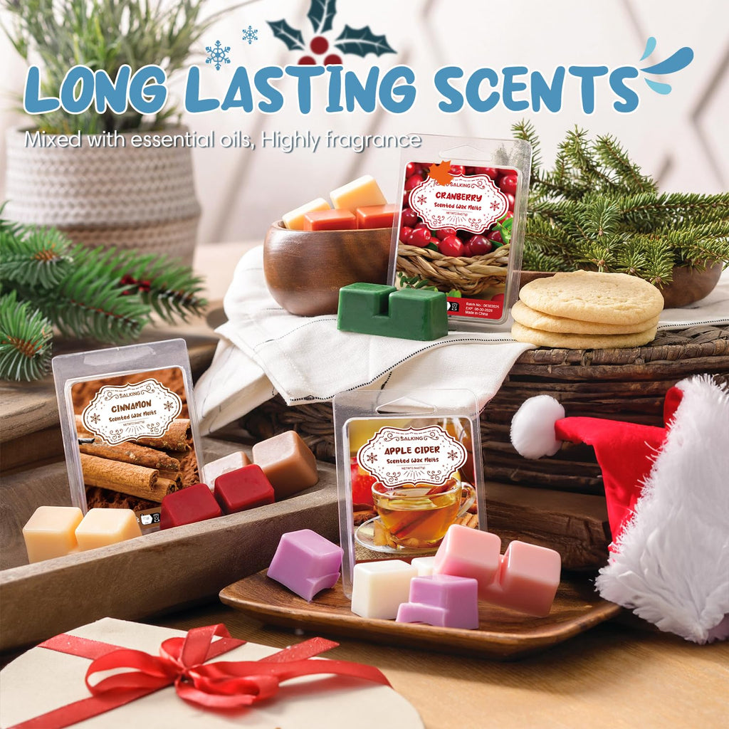 Winter Scented Wax Melts, Christmas Soy Wax Cubes for Wax Warmer