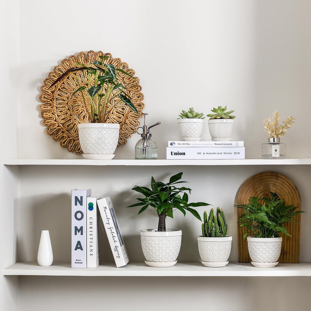3.5" Embossed Ceramic Succulent Pots with Saucers and Mesh, Glazed White
