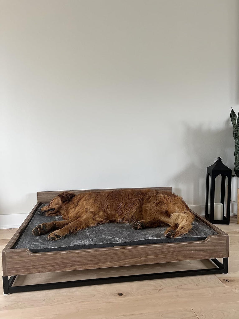 Milo Wooden Elevated Dog Bed with Soft Foam Mattress, Large