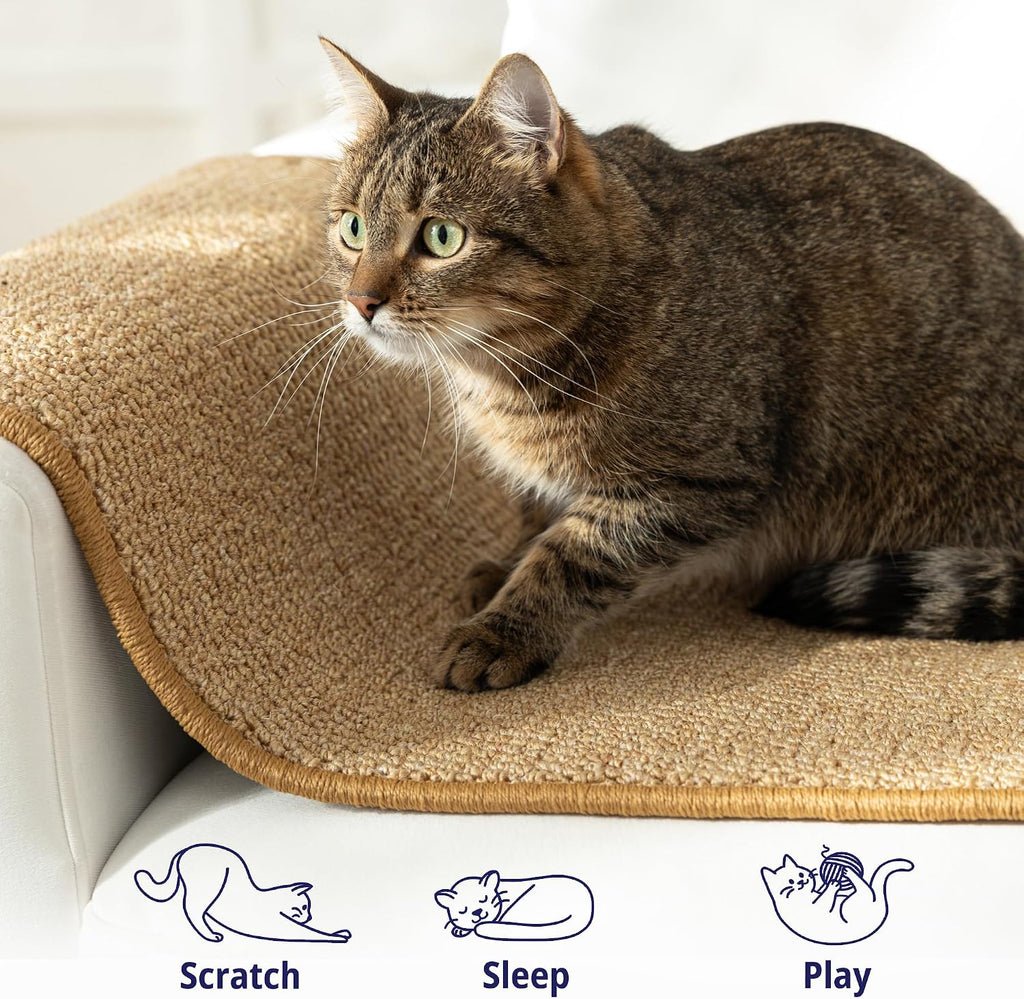 Cat Wall Climbing Carpet - Cat Wall Scratcher 67" x 17" with Fixed Nails