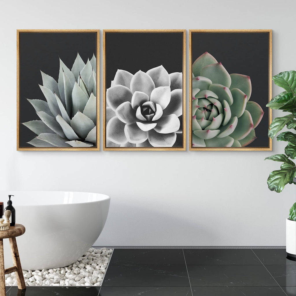 Framed Wall Art Print Set Desert Rose Echeveria Succulent Set Nature Plants Photography Modern Art Closeup Relax/Calm