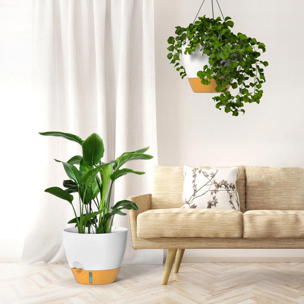 12 Inch Large Self Watering Hanging Planters for Indoor Outdoor Plants - Water Level Indicator & Removable 60 Oz