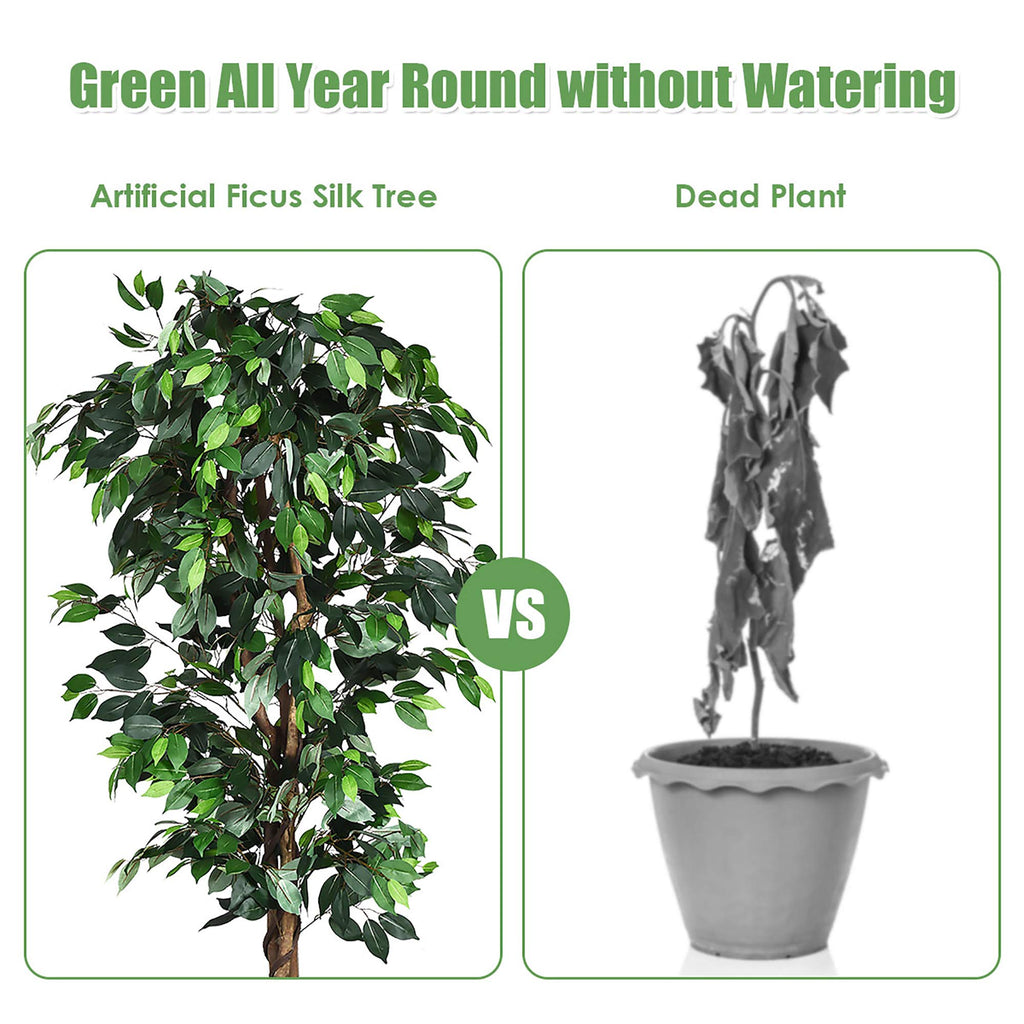 6 Ft Artificial Ficus Tree with Wood Trunks