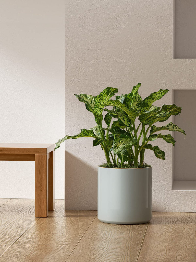 12 Inch Pot for Plants, Ceramic Indoor Planter, Mist Gray