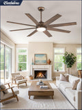 Fanbulous 60" Ceiling Fan with LED Light and Remote - Antique Bronze
