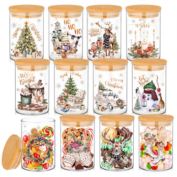 12 Pcs Rustic Christmas Glass Storage Jar with Airtight Bamboo Lid