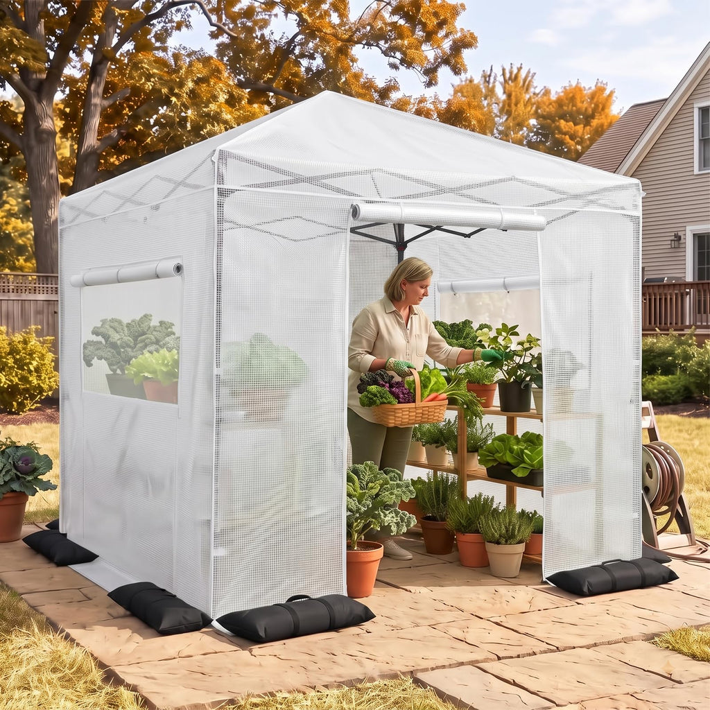 8x8 Easy Setup Pop Up Greenhouse, Clear/White