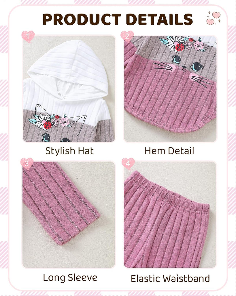 Toddler Girl Clothes Fall Girls Outfits 2 Piece Hoodie and Pants