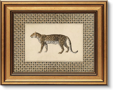 Gold Framed Wall Art, Vintage Leopard Canvas Prints - Maximalist Cheetah Safari Pictures Decor, Wildlife Animal