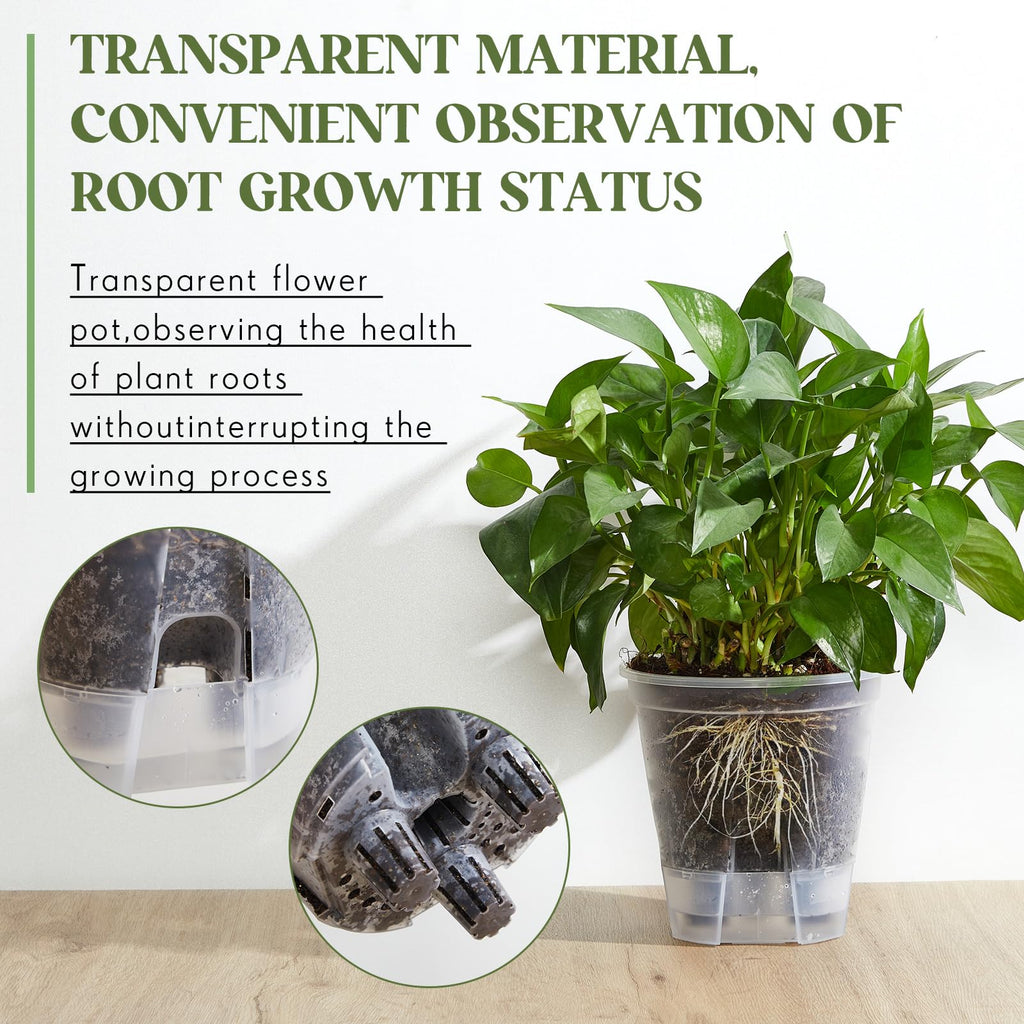 Self Watering Planter, 5.91'', Clear, 6 Pcs