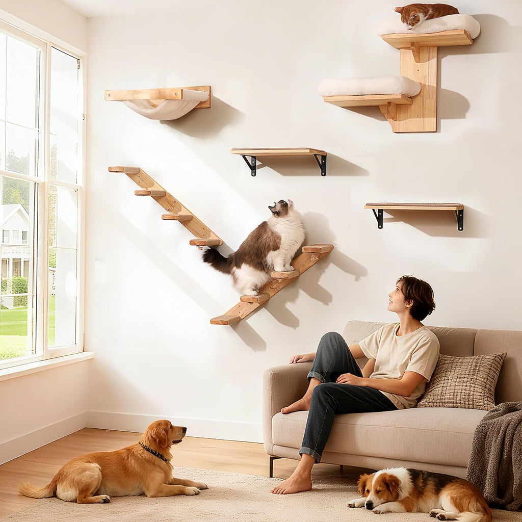 Cat Climbing Shelf Wall Mounted, Large