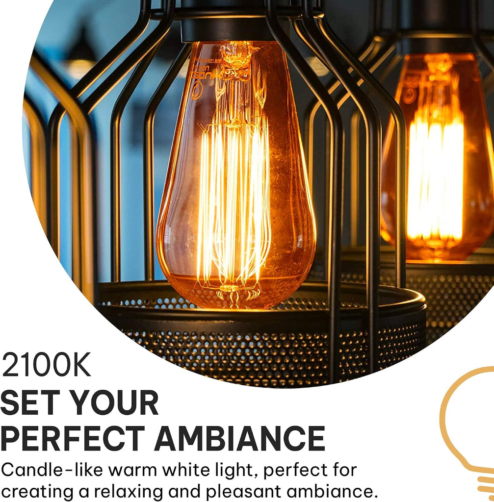 Vintage Incandescent Edison Light Bulbs, 60W, E26/E27 Base, 2100K Dimmable Decorative Lights, ST58 Style Amber Warm