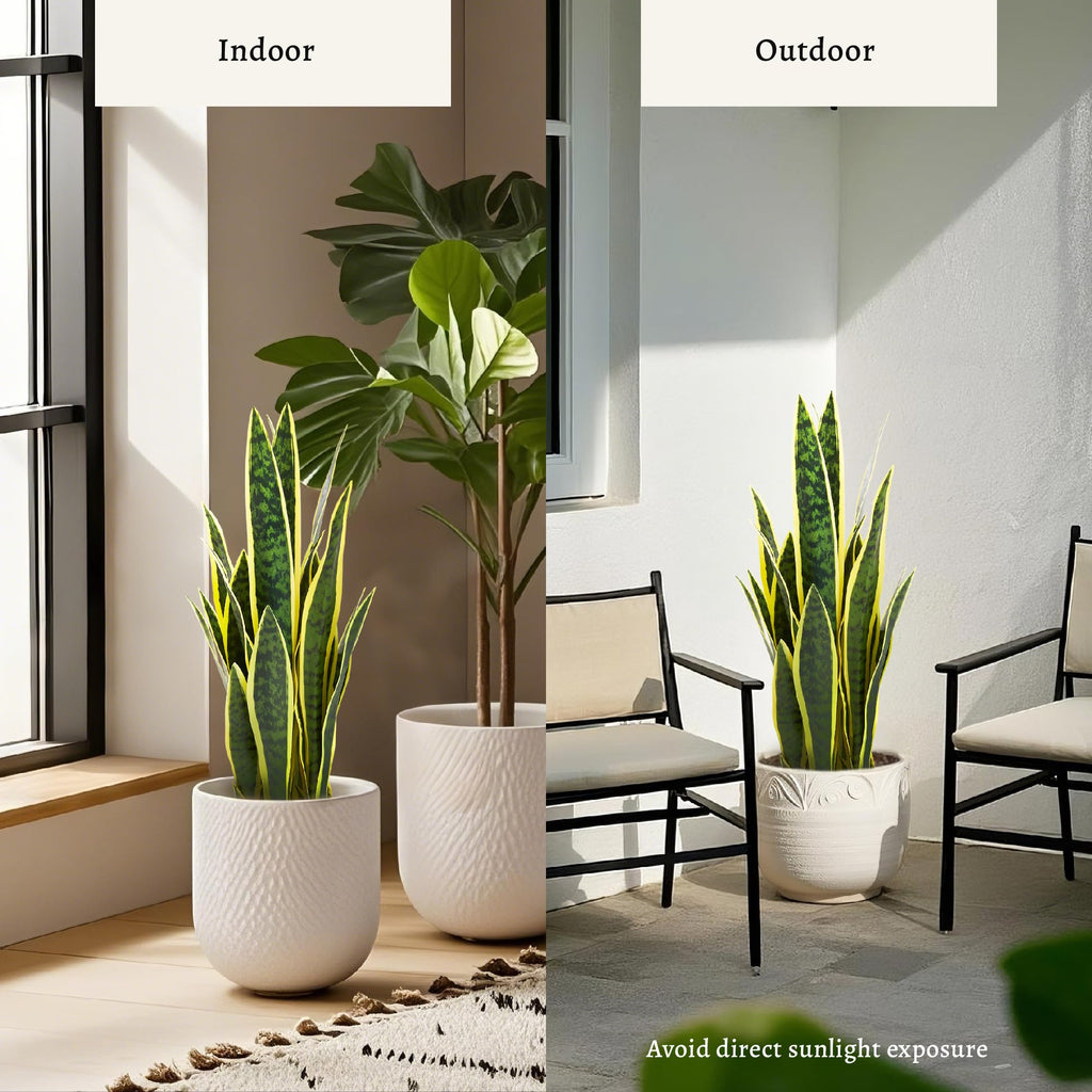 2ft Artificial Snake Plant in Black Pot, 25.6in Faux Sansevieria, Yellow