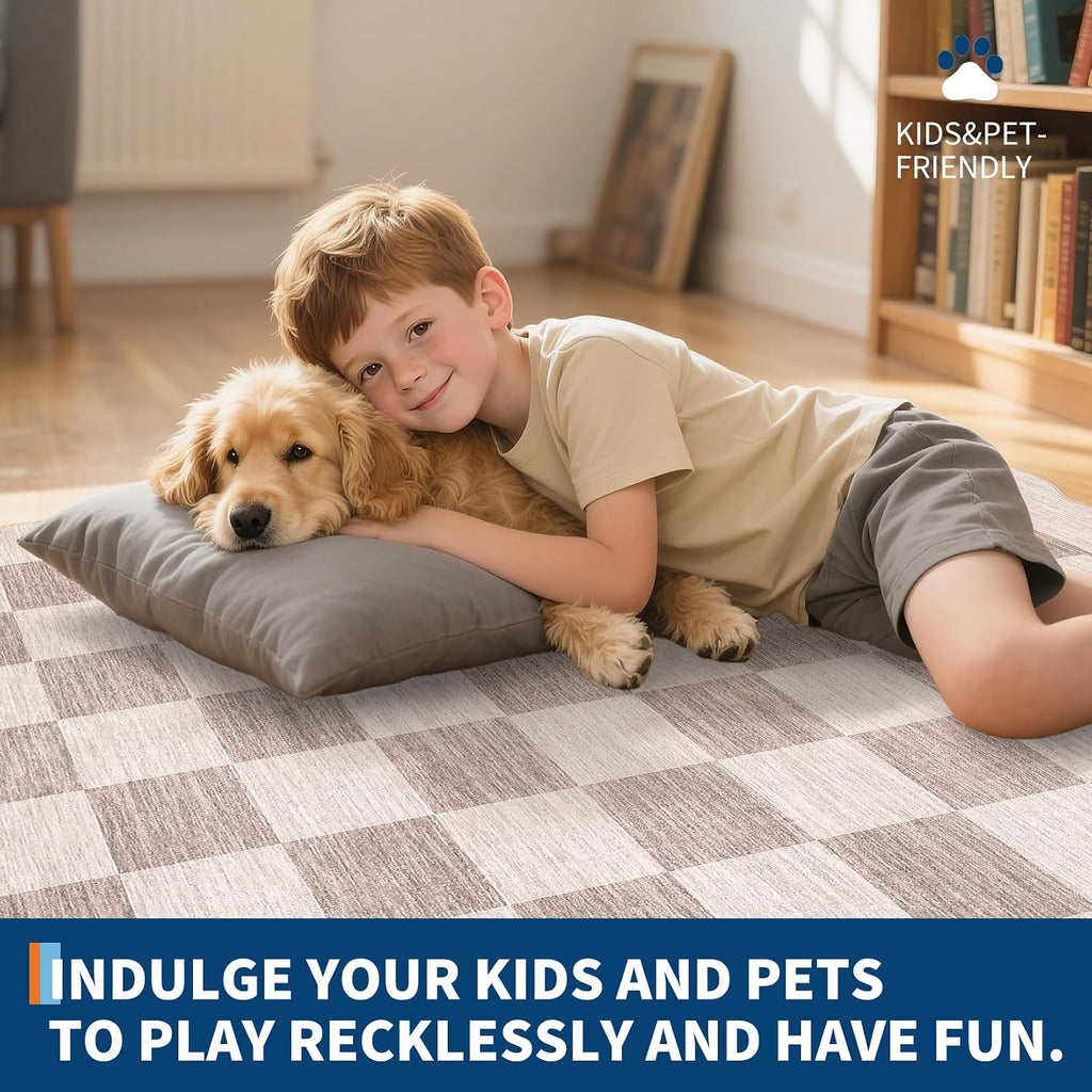 Scalloped Area Rug Modern Checkered Living Room Carpet, Non Slip Non Shedding Low Pile Indoor Rug, Machine