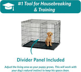 42-Inch iCrate for Large Breeds, 71-90 lbs, Double Door Folding Dog Crate with Divider Panel