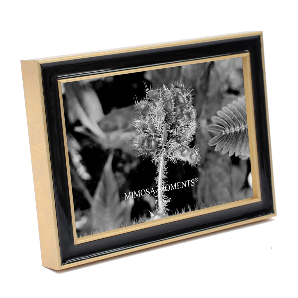 4x6 Brass tone with Black Enamel Picture Frame