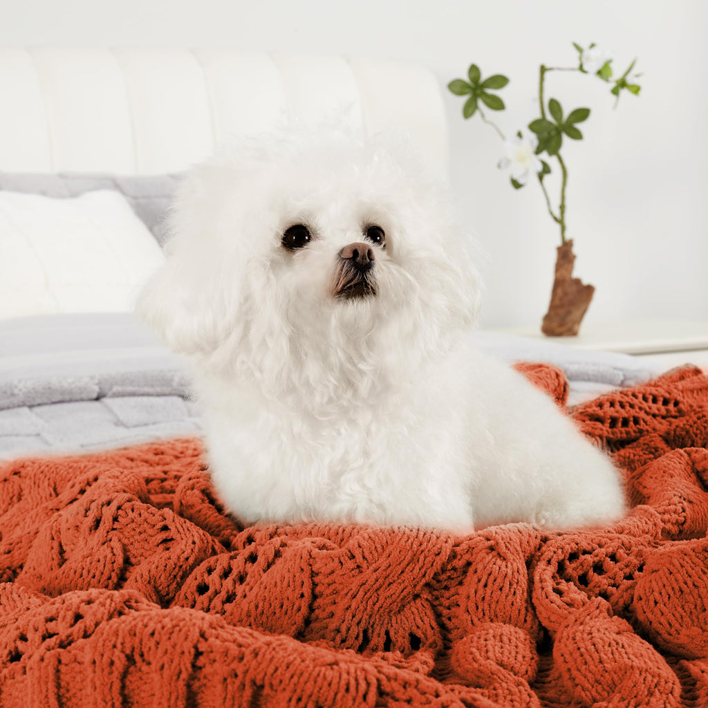 Chunky Knit Throw Blanket, Dual-Sided Soft Chenille Breathable Cable Knitted Blanket for Couch, Farmhouse Decorative