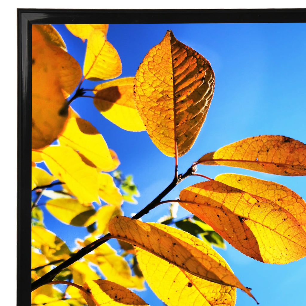 16x20 Picture Frame Black, Collage Wall Decor Studio Gallery Poster Frame