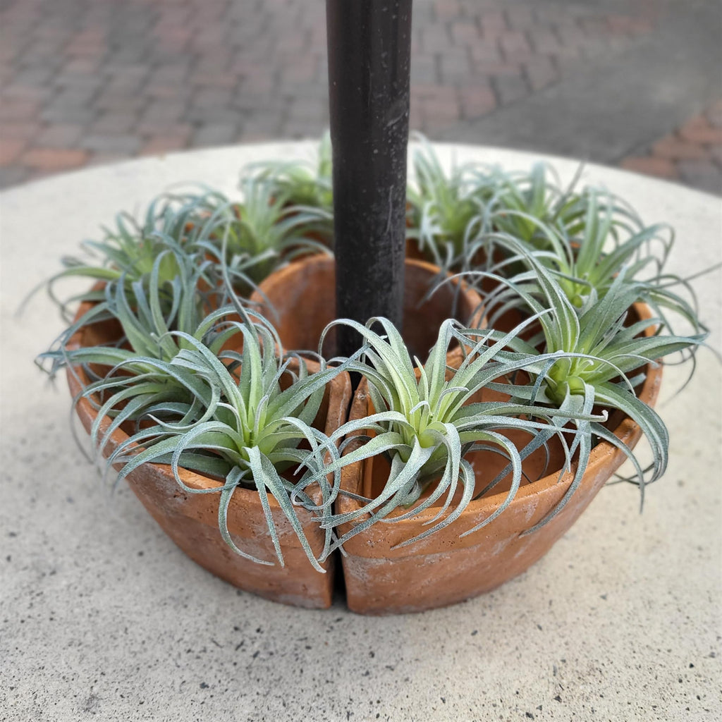 Tresco Rustic Half Round Terra Cotta and Cement Planter for Outdoor Sun Umbrella Poles - 4.5" Center Hole - No