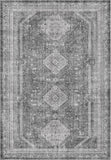 3x5 Vintage Area Rug, Machine Washable, Non Slip & Low Pile Lightweight for Living Room, Entryway, B