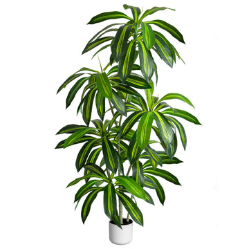 Dracaena Tree 6FT with Planter - Tall Fake Indoor Trees Artificial Decor, Faux Dragon Tree Plant