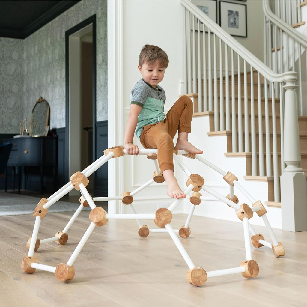 Indoor Climbing Gym Active Play Equipment, Solid Wood Montessori Space Dome Climber for Toddlers 2-6 Years, Maximum