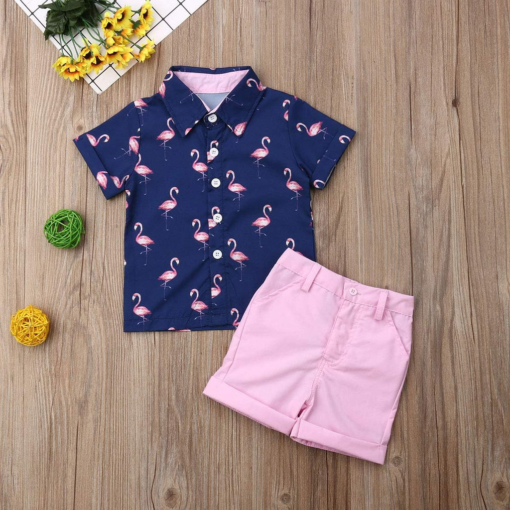 Toddler Baby Boy Flamingo Short Sleeve Button Down Shirt & Casual Shorts Set Summer Outfits Clothes