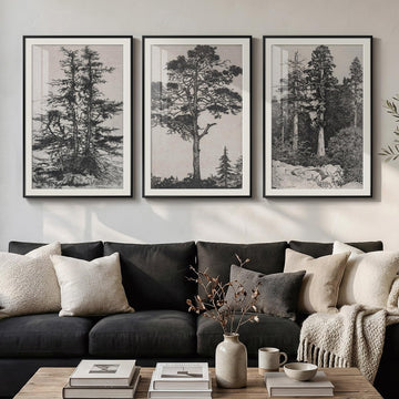 Framed Large Vintage Black and White Tree Wall Art, 24x36 In