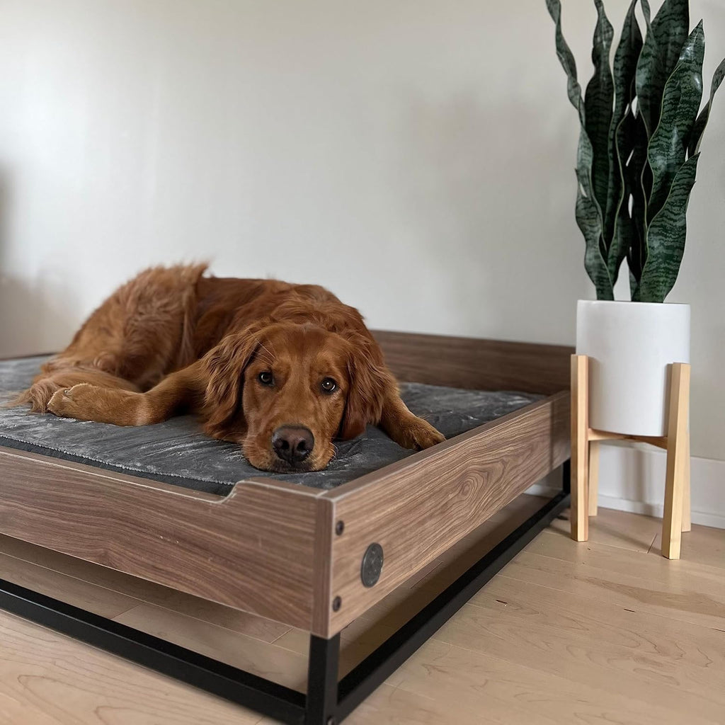 Milo Wooden Elevated Dog Bed with Soft Foam Mattress, Large