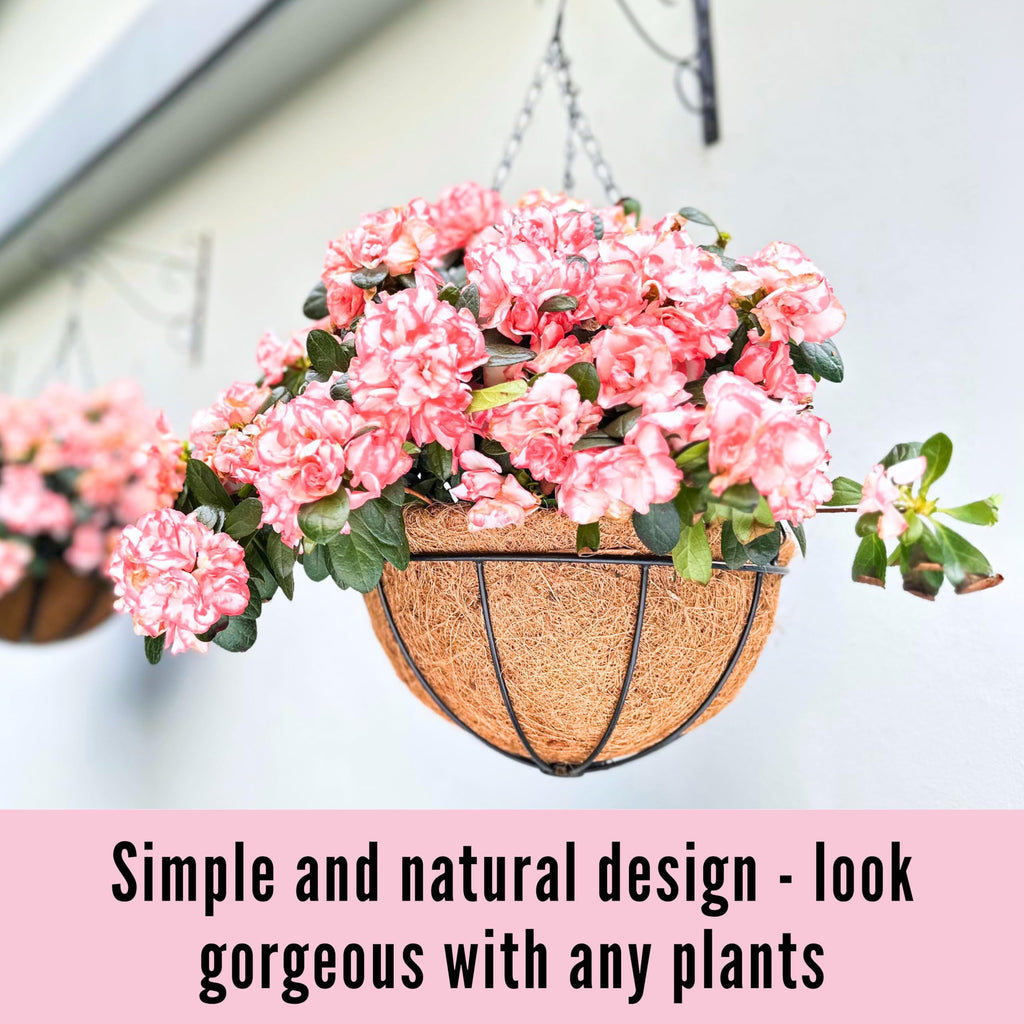 LaLaGreen Outdoor Hanging Baskets (10 in, 10 Pack) Coco Liner Flower Pots