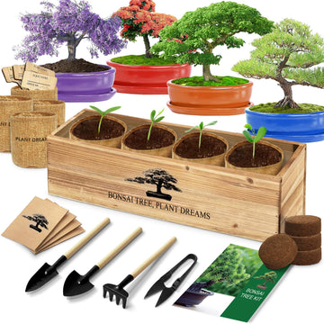 Bonsai Tree Kit, Bonsai Starter Kit with Seeds & Tools, Tree Live Plants Indoor, Gardening Gifts for Women Men Mom