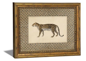 Vintage Gold Framed Leopard Canvas Wall Art Cheetah Safari Wall Decor Paintings Gold Frame Wildlife Pictuer Print