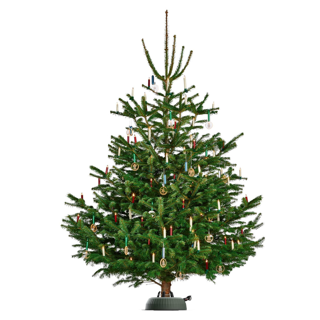 Deluxe Tree Stand, Green - Fits 12 ft Trees