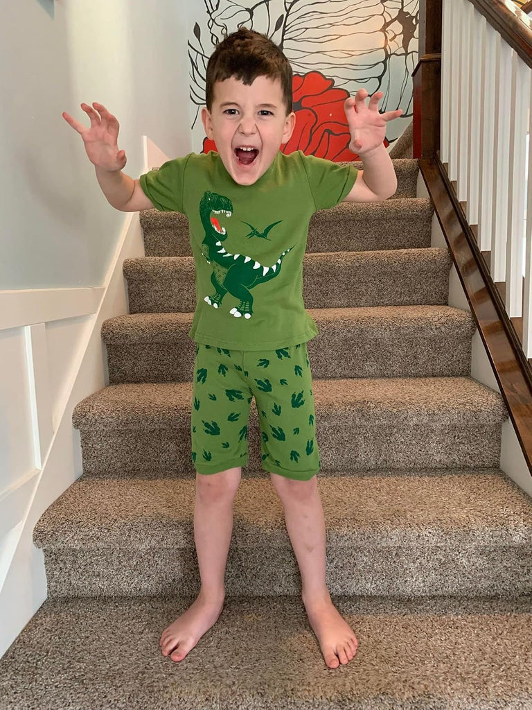 Little Boys 2 Piece Short Pajamas Train Shark Sleepwear 100% Cotton Toddler Dinosaur Pjs Summer Kids Clothes