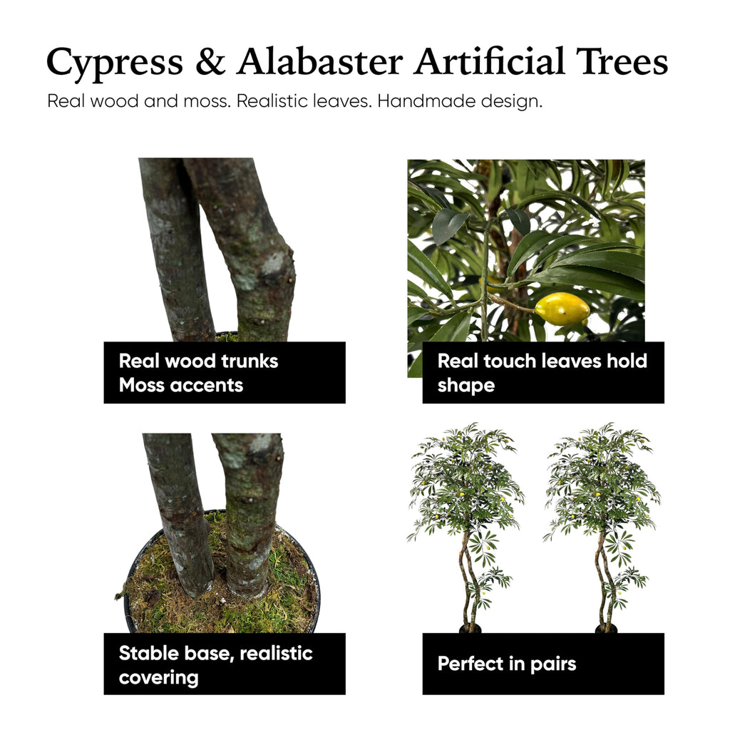 Handmade 6ft Mediterranean Olive Artificial Tree with Ethically Sourced Real Wood Trunks, Hypoallergenic, 6-Foot