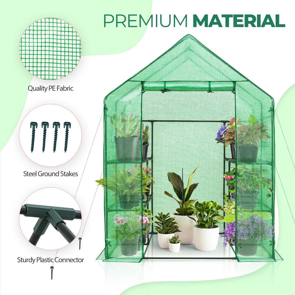 Small Greenhouse for Indoor Outdoor, 56x56x77 in, Clear/Green PE
