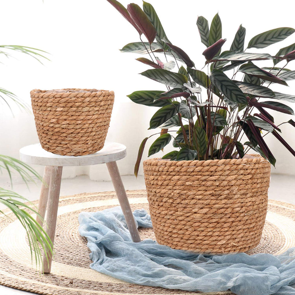 Seagrass Planter Basket Stylish Planter Baskets, Set of 4