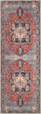 30"x84" Rug - Machine Washable Runner Rug with Non-Slip Backing, Ideal