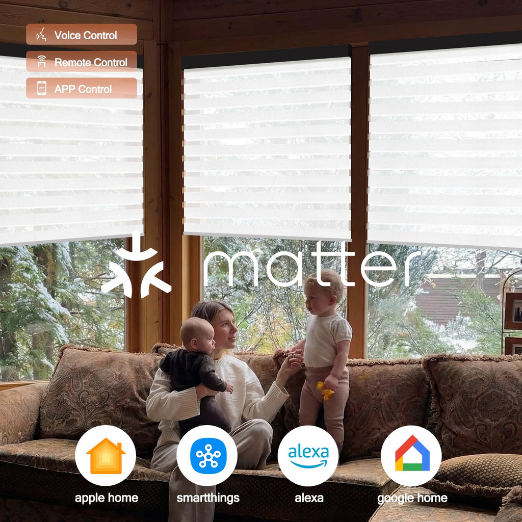 Motorized Zebra Blinds, Automatic Shades for Indoor Windows Work with HomeKit, Alexa, Google Home, Customized