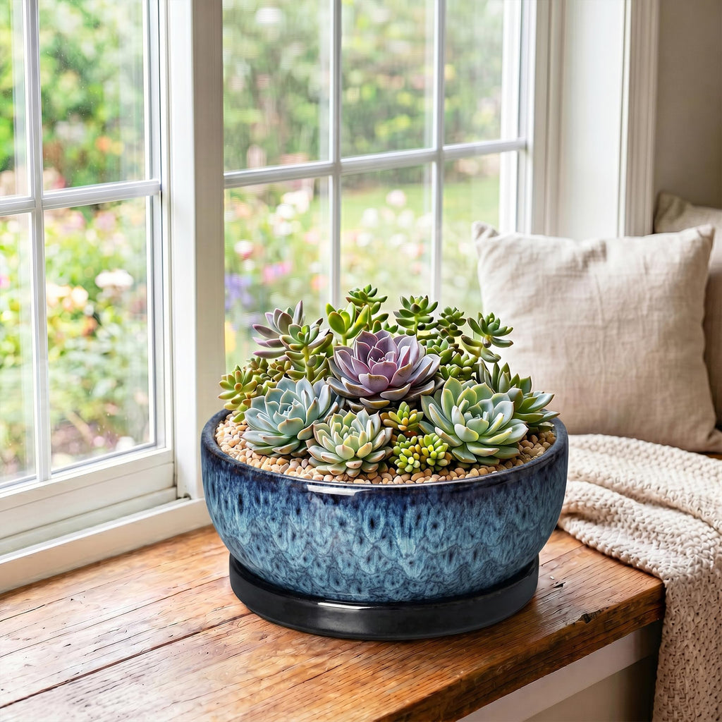Bonsai Pots, 10 Inch Ceramic Succulent Pots with Saucer, Blue