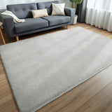 8x10 Fluffy Area Rug, Soft Plush Non-Slip Carpet for Living Room Bedroom Kids Room