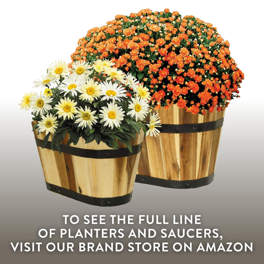 Oval Barrel Planter, Acacia