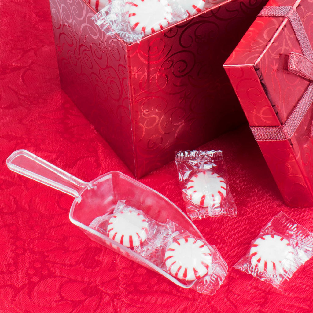 5.5" Mini Acrylic Plastic Scoops for Weddings, Candy Dessert Buffet, Ice Cream, Protein Powders, Coffee, Tea (Clear)