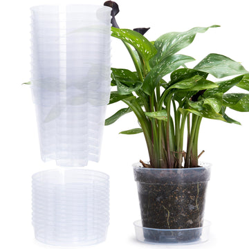 6 Inch Clear Plastic Plant Pot with Drainage Holes, Interlocking & Detachable Tray - Deep Saucer - Durable BPA-Free