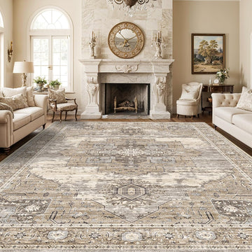 Living Room 10x14 Area Rugs - Washable Lightweight Area Rug Stain Resistant Carpet Vintage Soft Rugs