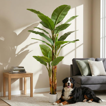 8FT Artificial Banana Tree Luxury Faux Banana Plant Fake Tree Decor Extra Large Tropical Tree Indoor Floor Plant Home