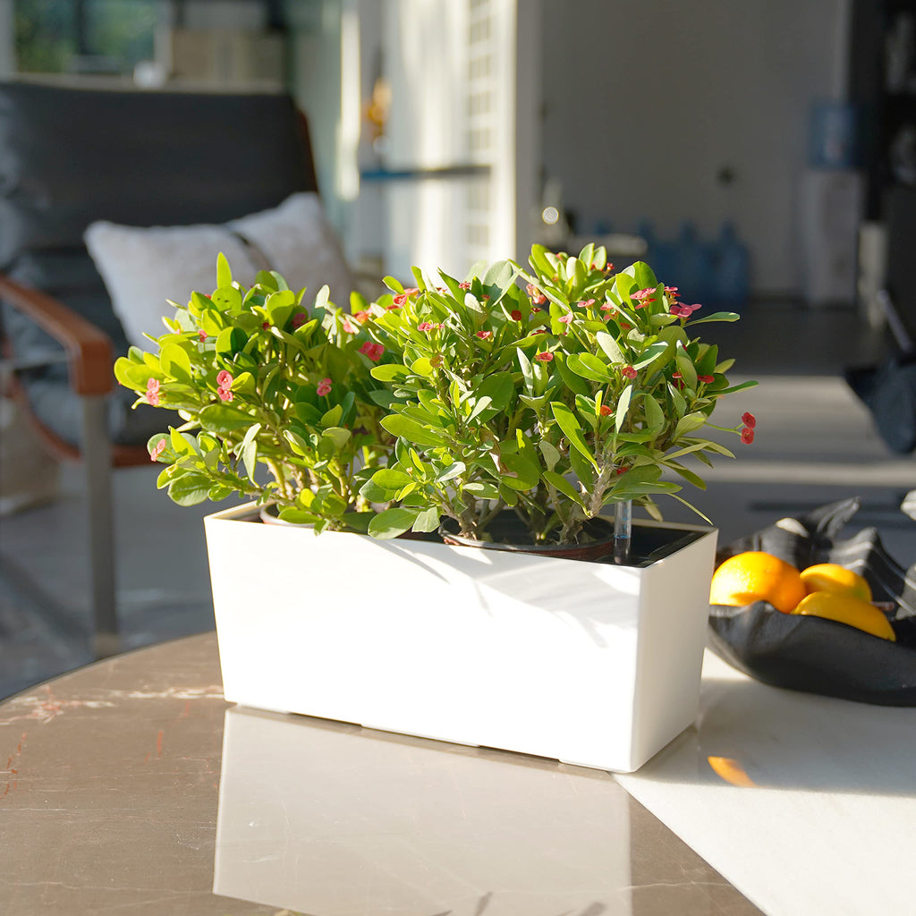 14" Self Watering Planter Pots with Water Level Indicator, Rectangle Matte Plastic Window Box for Indoor Outdoor