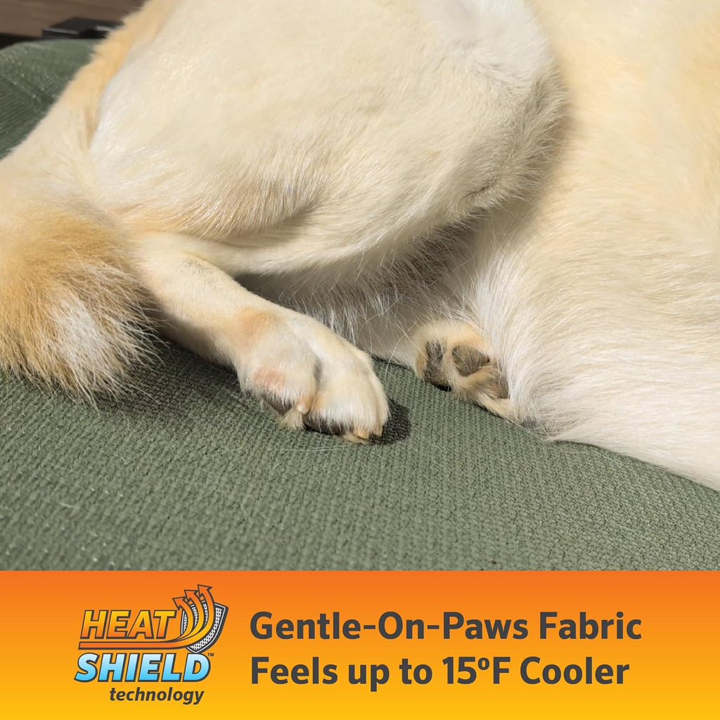Pro Elevated Dog Bed with HeatShield Fabric - Advanced Cooling Raised Cot for Medium & Large Breeds, Easy-Clean