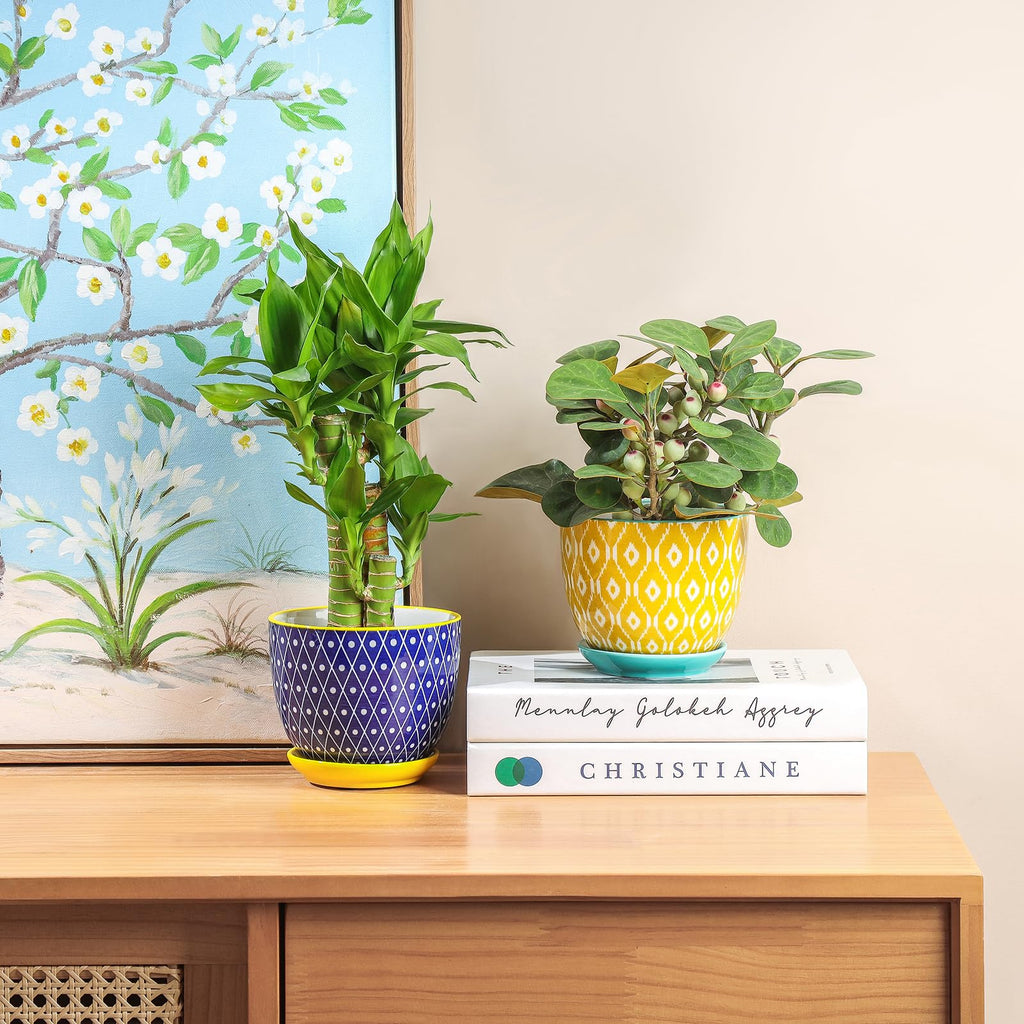 Ceramic Plant Pots, 4.6 Inch Flower Pots for Indoor Plants, Succulent Pots with Drainage Hole & Saucer, Succulent